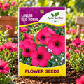 Lumin Red Robin Flower Seeds