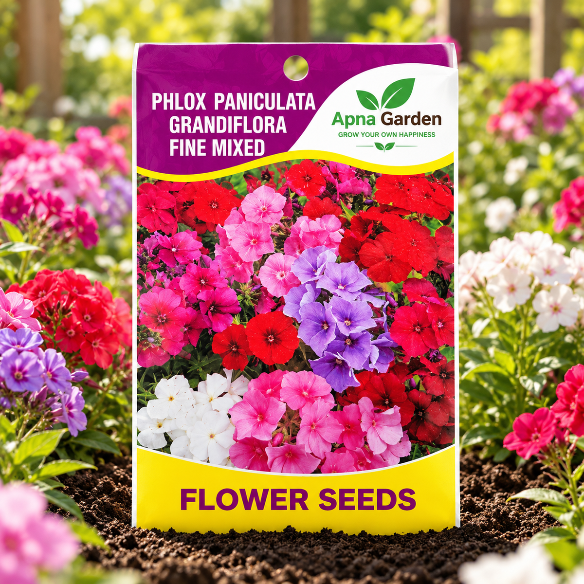 Phlox Paniculata Grandiflora Flower Seeds