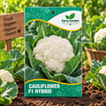 Cauliflower F1-Hybrid Seeds
