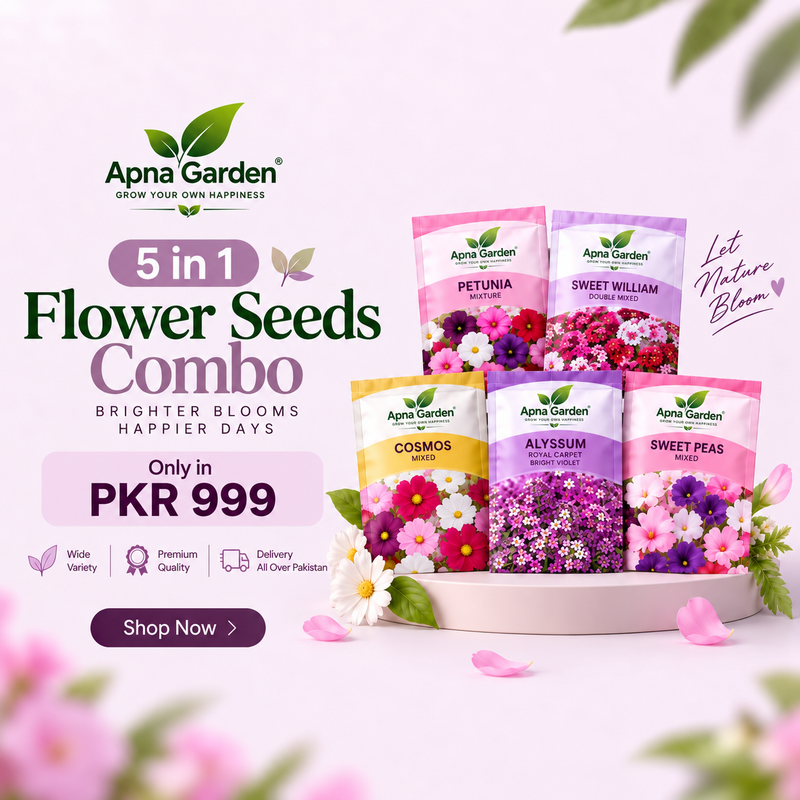 5 in 1 Winter Flower Seeds Combo