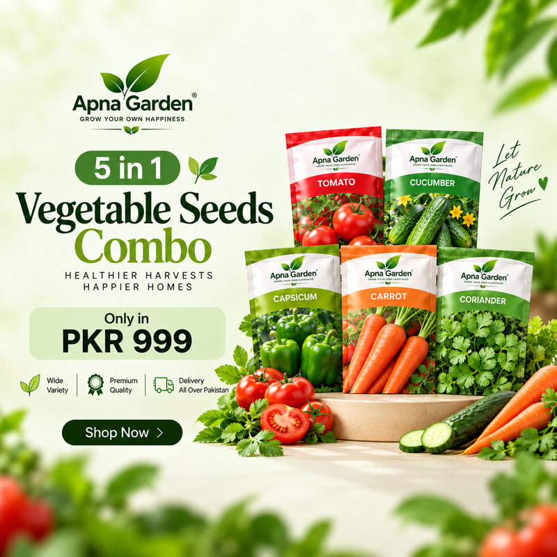 5 in 1 Vegetable Seeds Combo