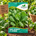 Baby Spinach F1-Hybrid Seeds