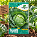 Cabbage F1-Hybrid Seeds