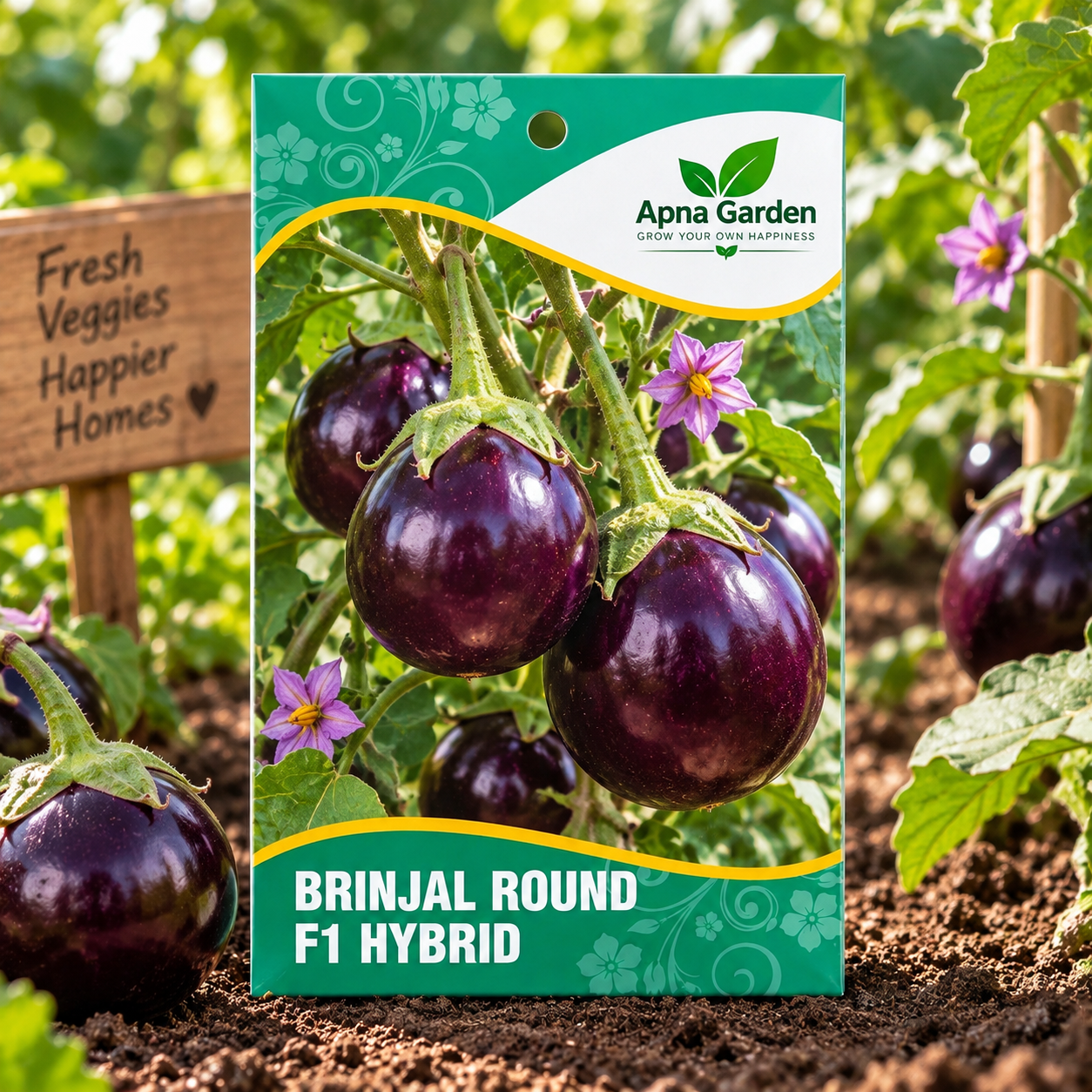 Brinjal Round F1-Hybrid Seeds