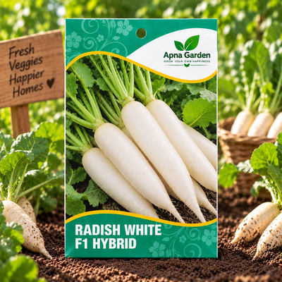 Radish White F1-Hybrid Seeds