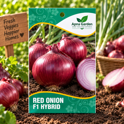 Red Onion F1-Hybrid Seeds