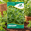 Oregano Herb Seeds