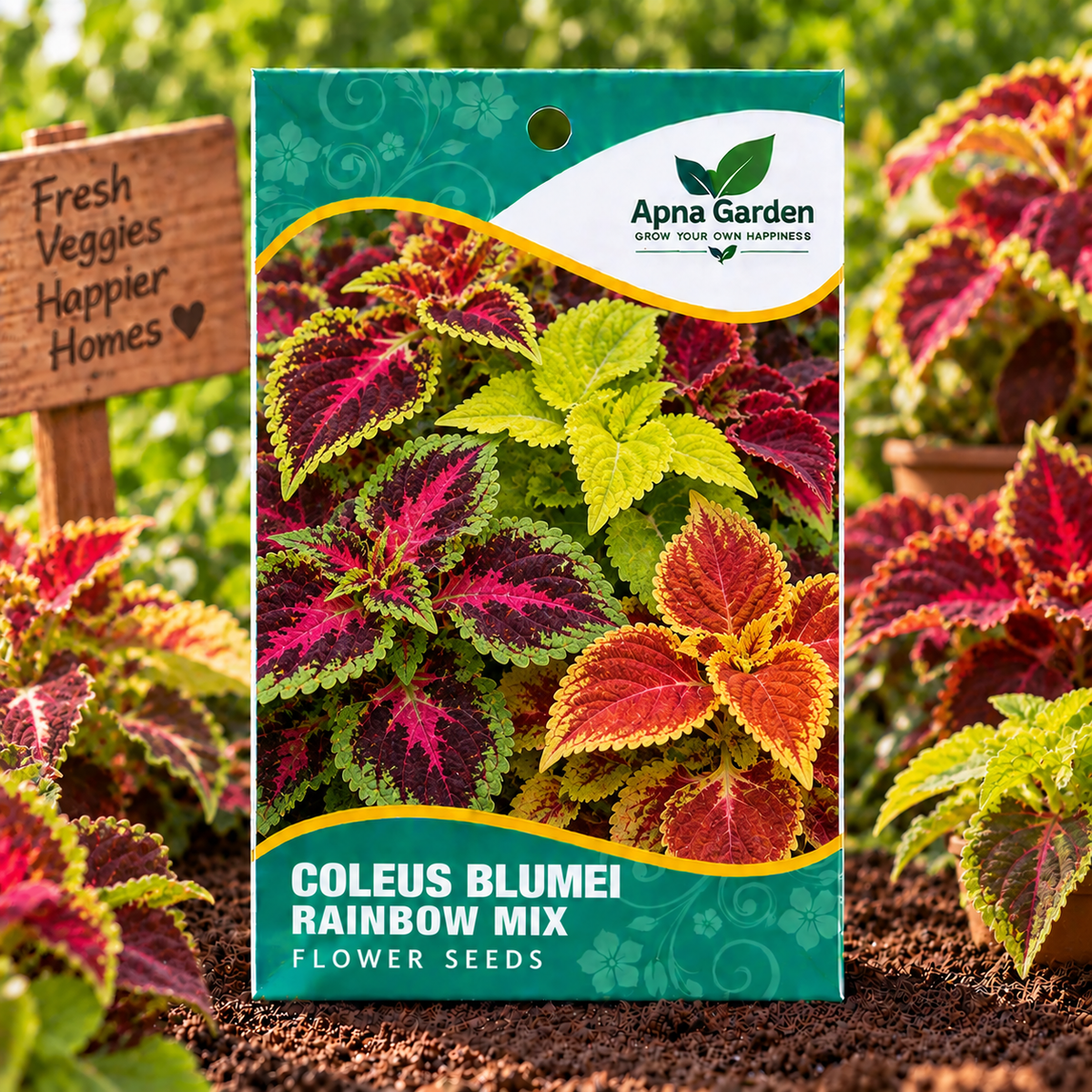 Coleus Blumei Rainbow Mix