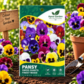 Pansy Swiss Giant Finest Mixed Flower Seeds