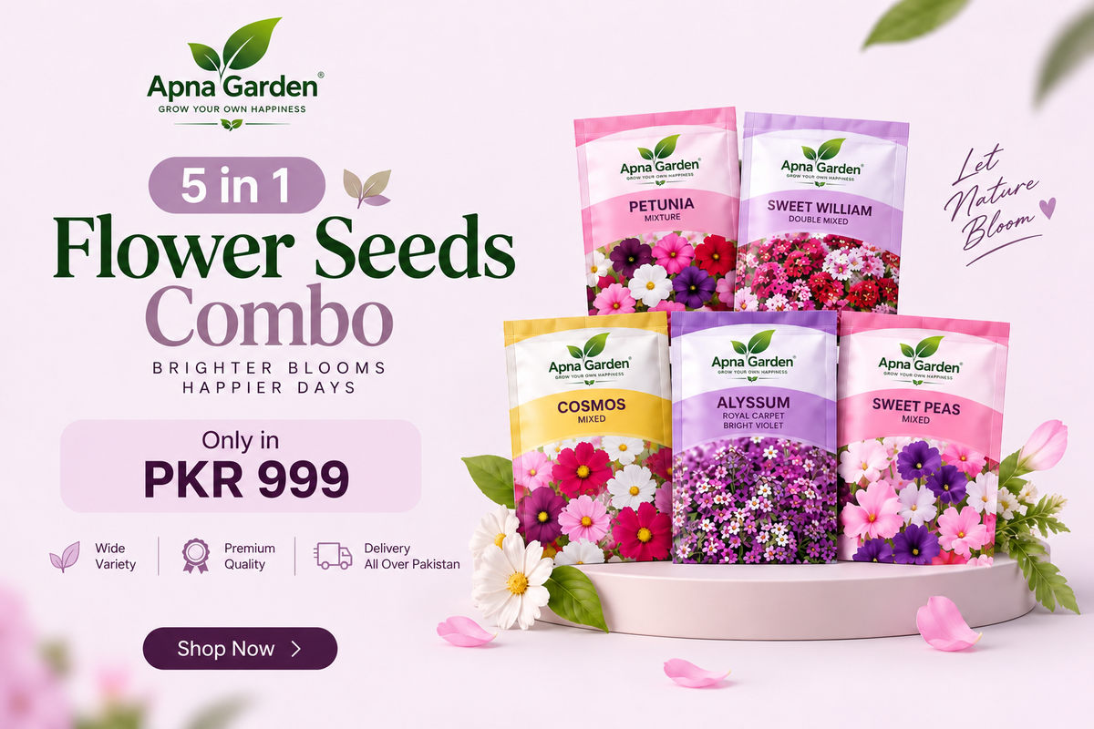 5 in 1 Winter Season Flower Seeds