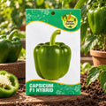 Capsicum Green F1-Hybrid Seeds