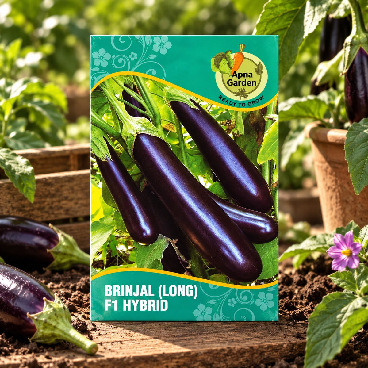 5 in 1 Vegetables Seeds Combo