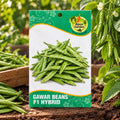 Gawar Beans F1-Hybrid Seeds
