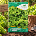 Lettuce Green F1-Hybrid Seeds