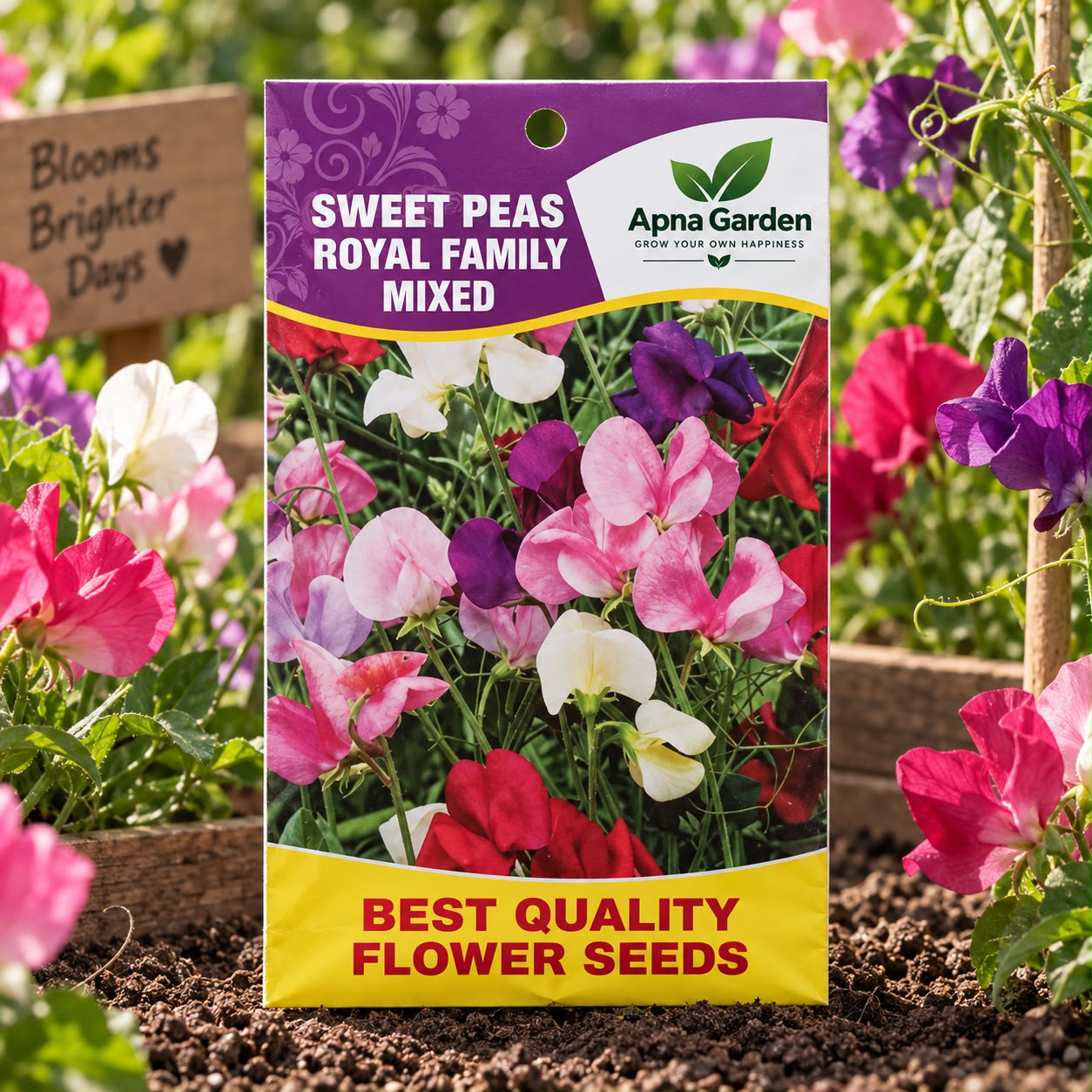 Sweet Peas Royal Family Mixed - Flower Seeds