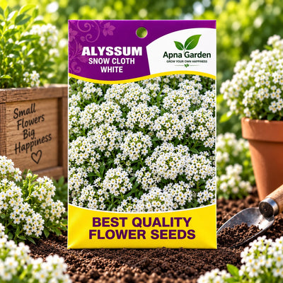 Alyssum Snow Cloth White Flower Seeds