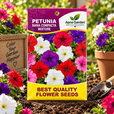 Petunia Nana Compacta Mixture - Flower Seeds