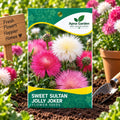 Sweet Sultan Jolly Joker Flower Seeds