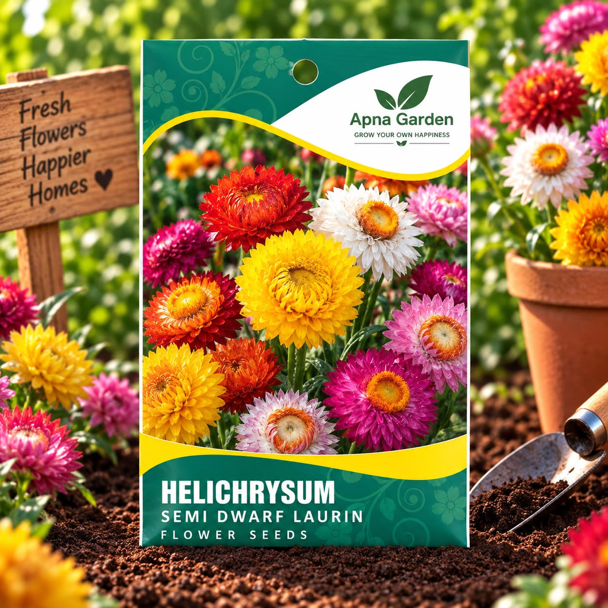 Helichrysum Semi Dwarf Laurin Flower Seeds